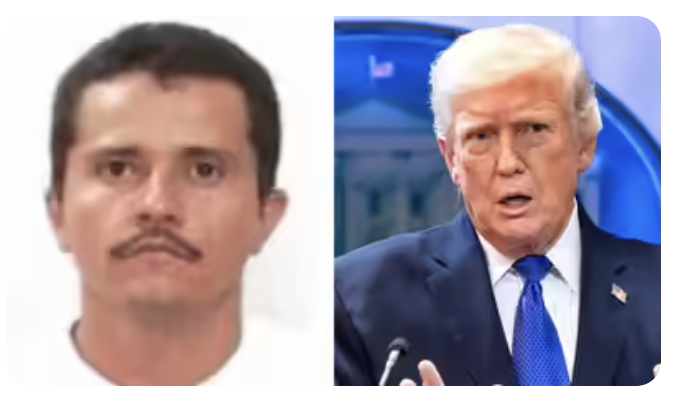 Detrás del algoritmo, el que manda